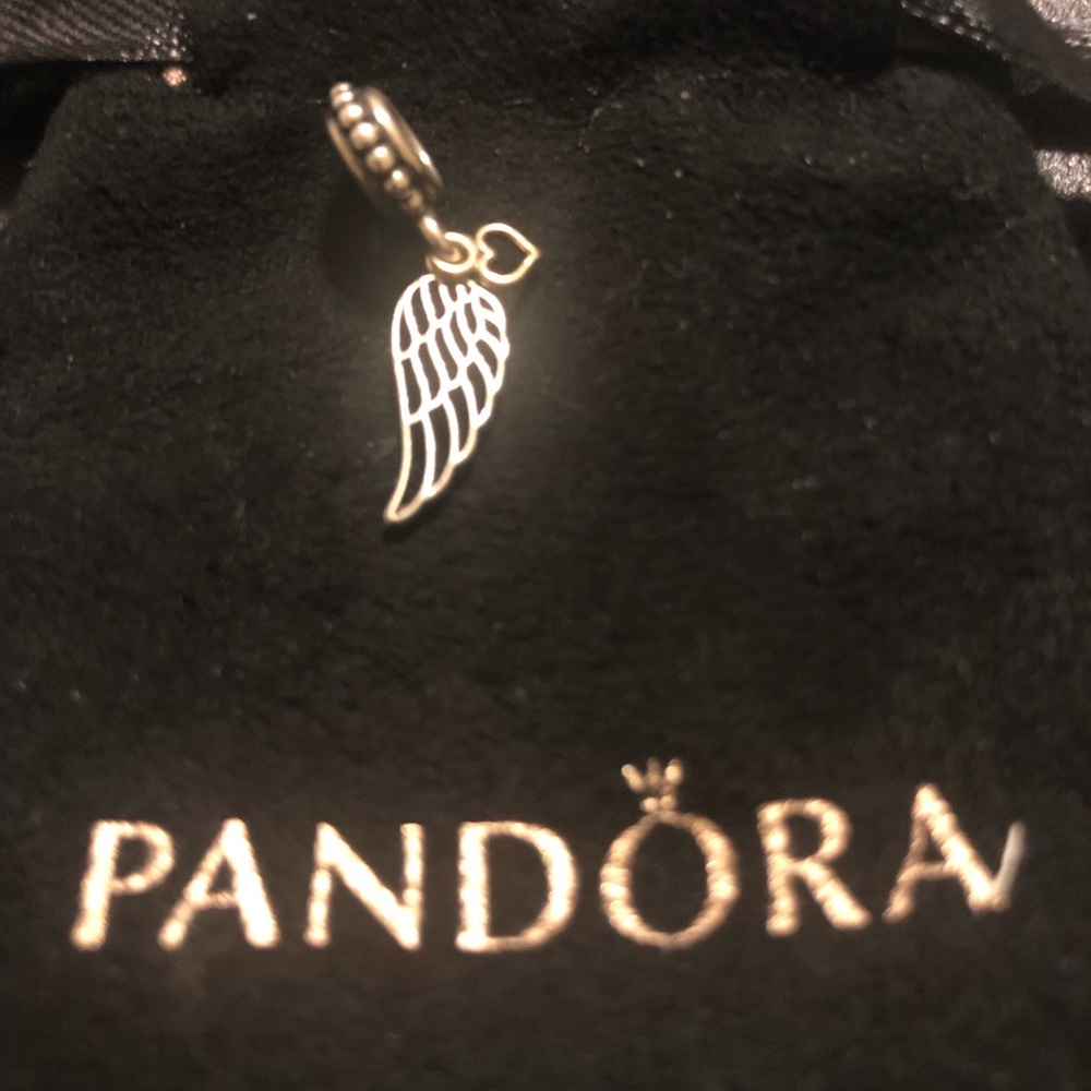Love and Guidance Two Tone Pandora Charm